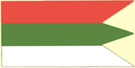 Флаг городского поселка Радошковичи (Беларусь)